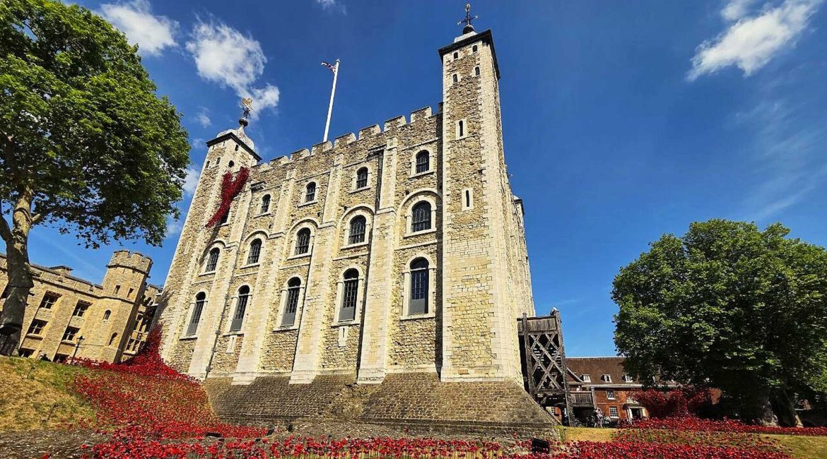 Thames River Sightseeing thamessightseeing Ceramic poppies at the tower of london